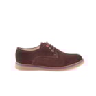006 SH200 C Castanho2_1-2